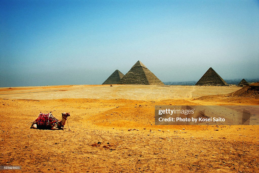 Giza