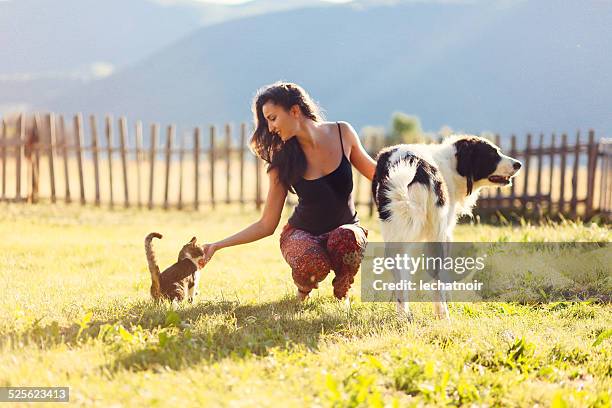 young woman playing with her pet friends - highland cat stock pictures, royalty-free photos & images