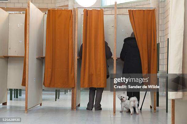 Brussels 2012 14 october. A woman with a white dog in a vote cabin in a catholic shool in Brussels, Saint Genesius Rode. The man in the other booth...