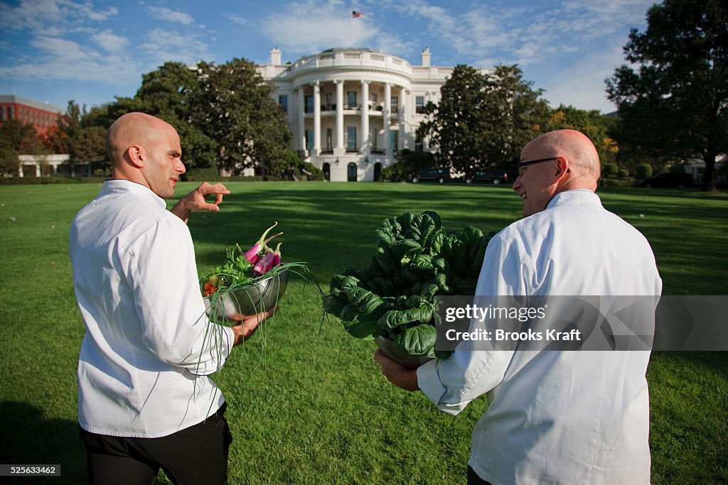 USA - Politics - Harvesting the White House Kitchen Garden