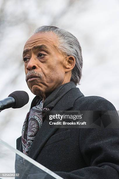 Rev. Al Sharpton leads the 'Justice For All' march in Washington with the families of Eric Garner, Michael Brown, Tamir Rice, Trayvon Martin, and...