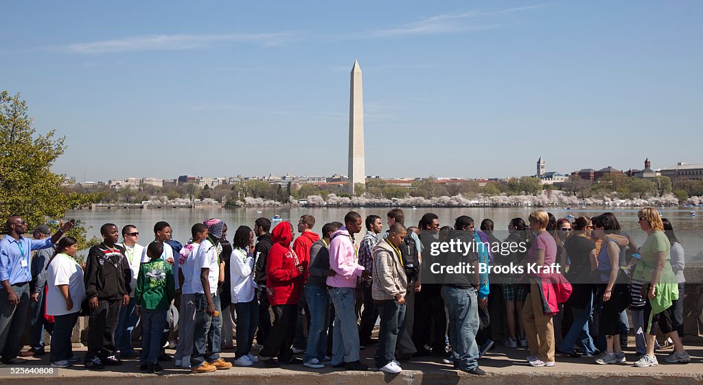 USA - Wasington DC - Tourists View Cherry Blossoms