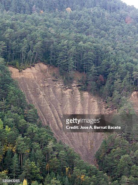 landslide of lands in a forest of the pyrenees - landslide stock pictures, royalty-free photos & images