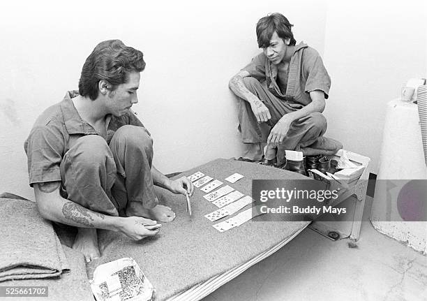 20 New Mexico State Penitentiary Riot Stock Photos, HighRes Pictures