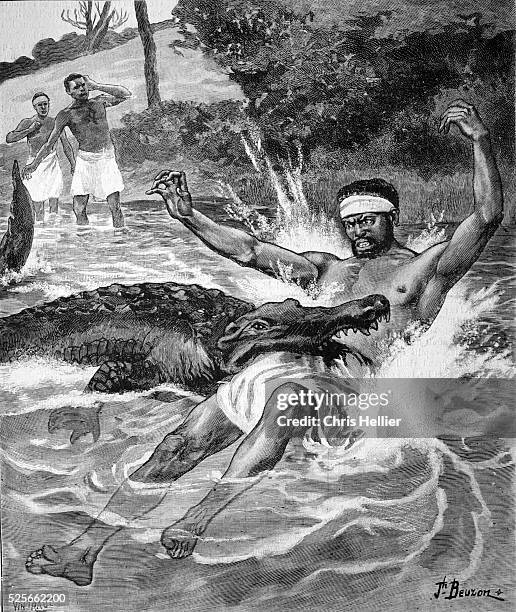Crocodile Attacking Man in the Blue Nile River Ethiopia 1902