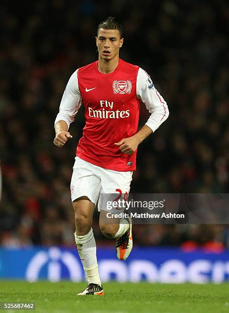 Marouane Chamakh of Arsenal