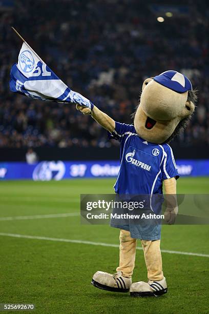 Erwin the mascot for Schalke 04