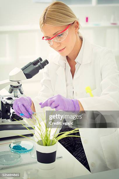 Dna Scissors Lab 114 Dna Scissors Stock Photos, High-Res Pictures, and Images - Getty Images