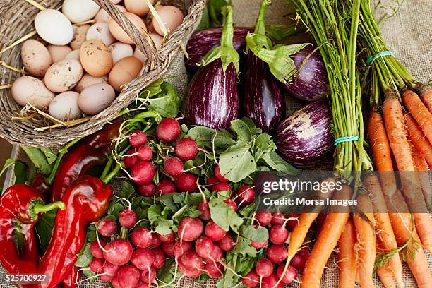 freshly harvested vegetables at organic farm - hemodlade grönsaker bildbanksfoton och bilder