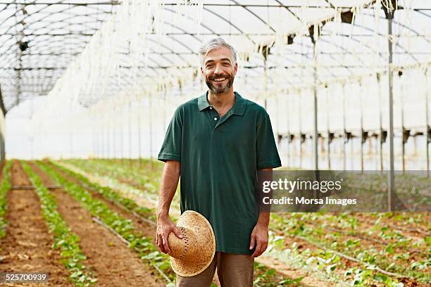 happy worker standing in greenhouse - gray polo shirt stock pictures, royalty-free photos & images