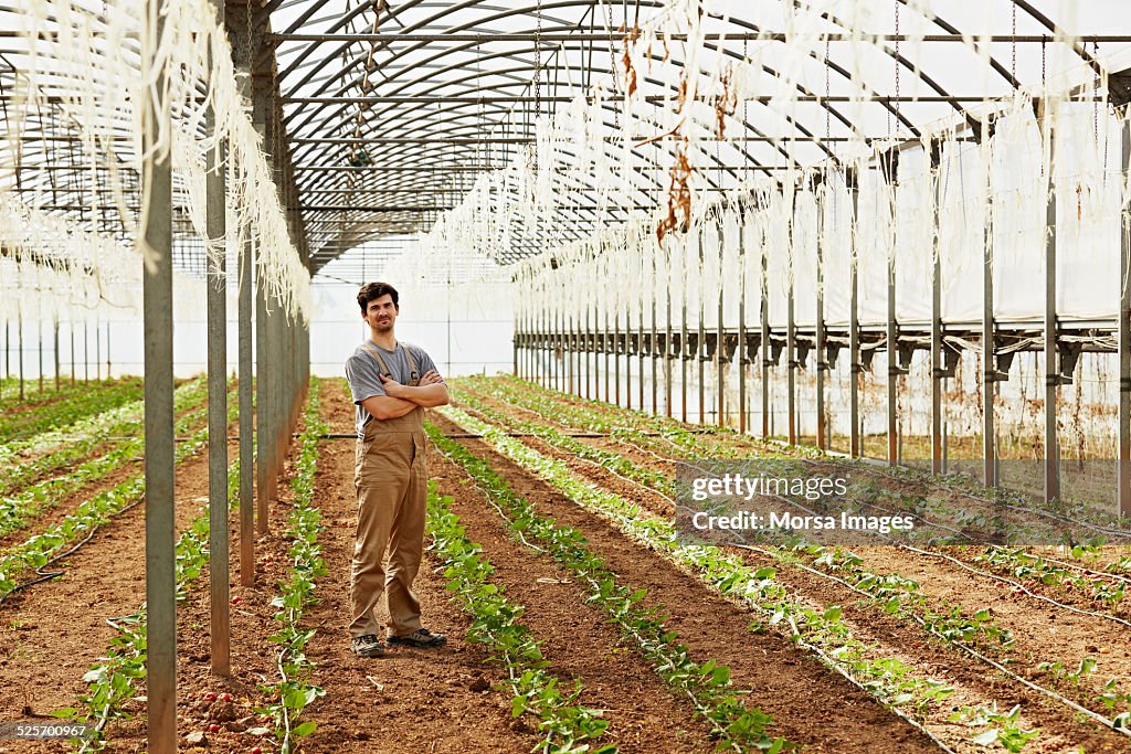 Worker standing arms crossed in greenhouse