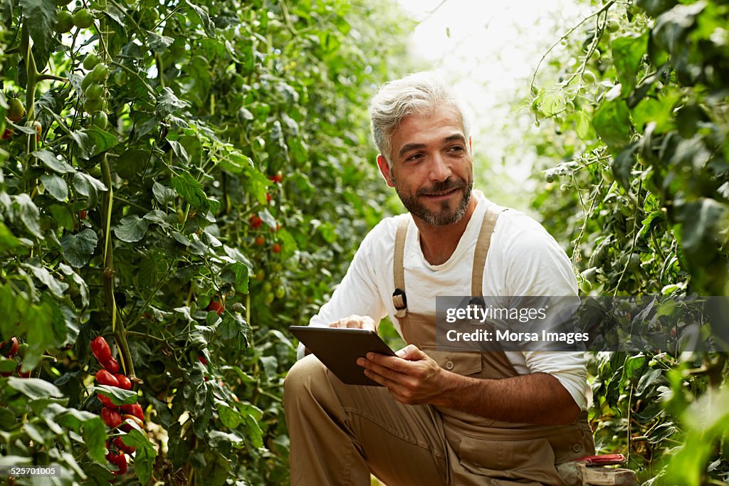Worker using digital tablet in greenhouse