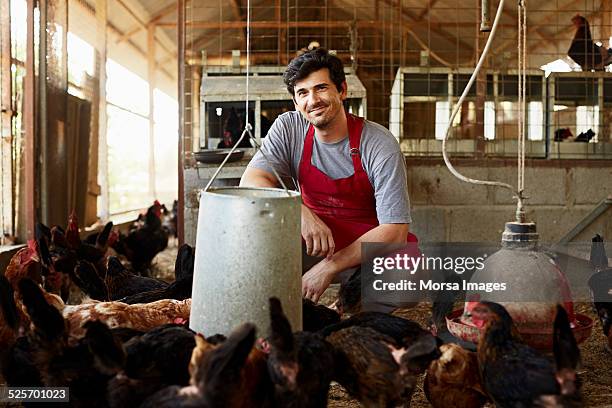 worker crouching at poultry farm - animales granja fotografías e imágenes de stock