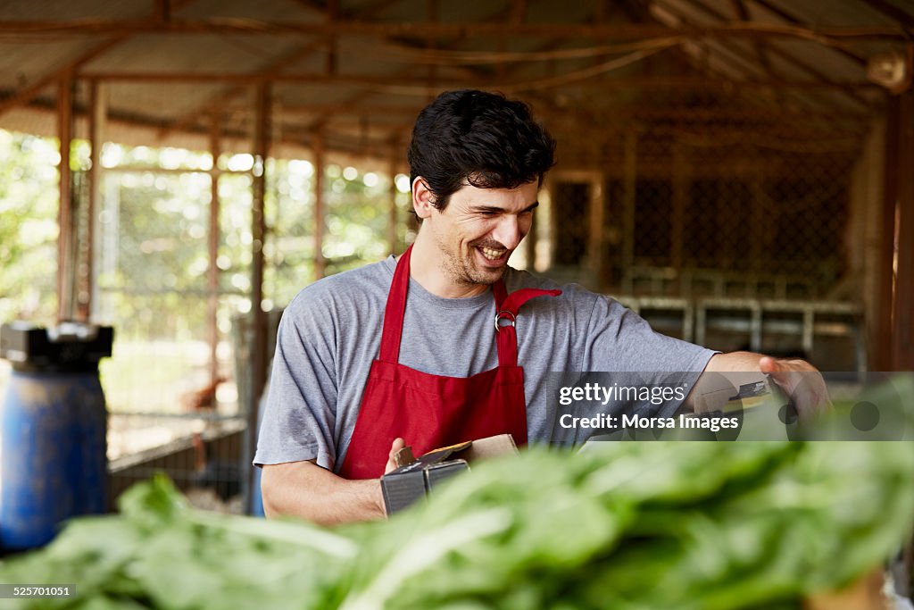 Worker working in organic farm