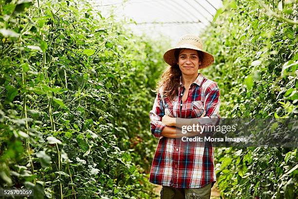 worker standing arms crossed in greenhouse - stroh stock-fotos und bilder