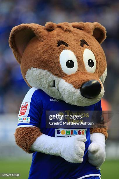 273 Filbert Fox Stock Photos, High-Res Pictures, and Images - Getty Images