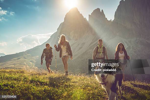 adventures on the dolomites with dog - european alps stockfoto's en -beelden