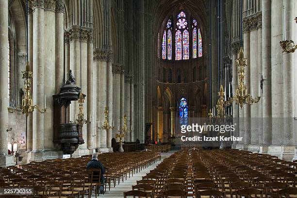 notre-dame of reims cathedral, france - reims cathedral 個照片及圖片檔