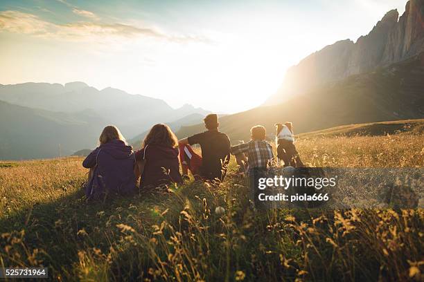 adventures on the dolomites with dog - majestic dog stock pictures, royalty-free photos & images