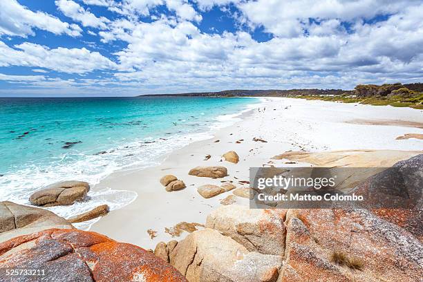 scenic beach with red rocks, tasmania, australia - bay of fires - fotografias e filmes do acervo