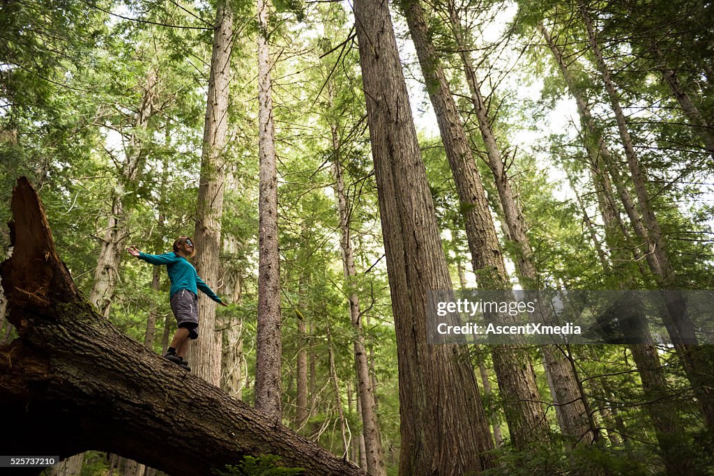 素晴らしい自然のハイキング