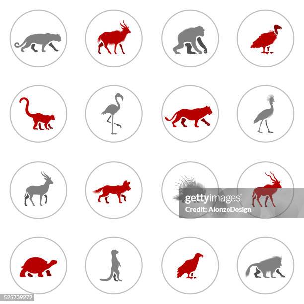 african animal icons - kudu stock illustrations