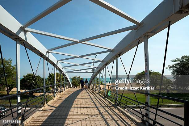 bridge at lincoln park chicago, illinois - lincoln park stock pictures, royalty-free photos & images