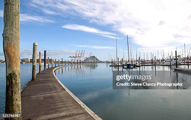 tauranga marina - tauranga stock pictures, royalty-free photos & images