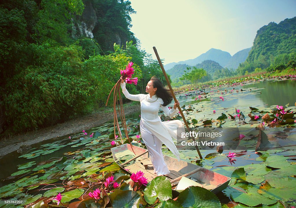 Water lily lake