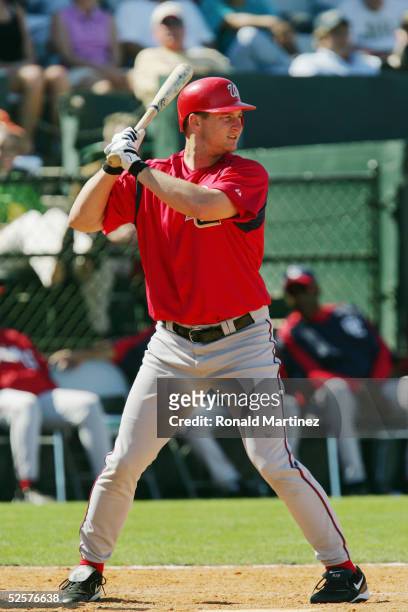Jared Sandberg of the Washington Nationals bats against the Baltimore Orioles during MLB Spring Training action on March 5, 2005 at Fort Lauderdale...