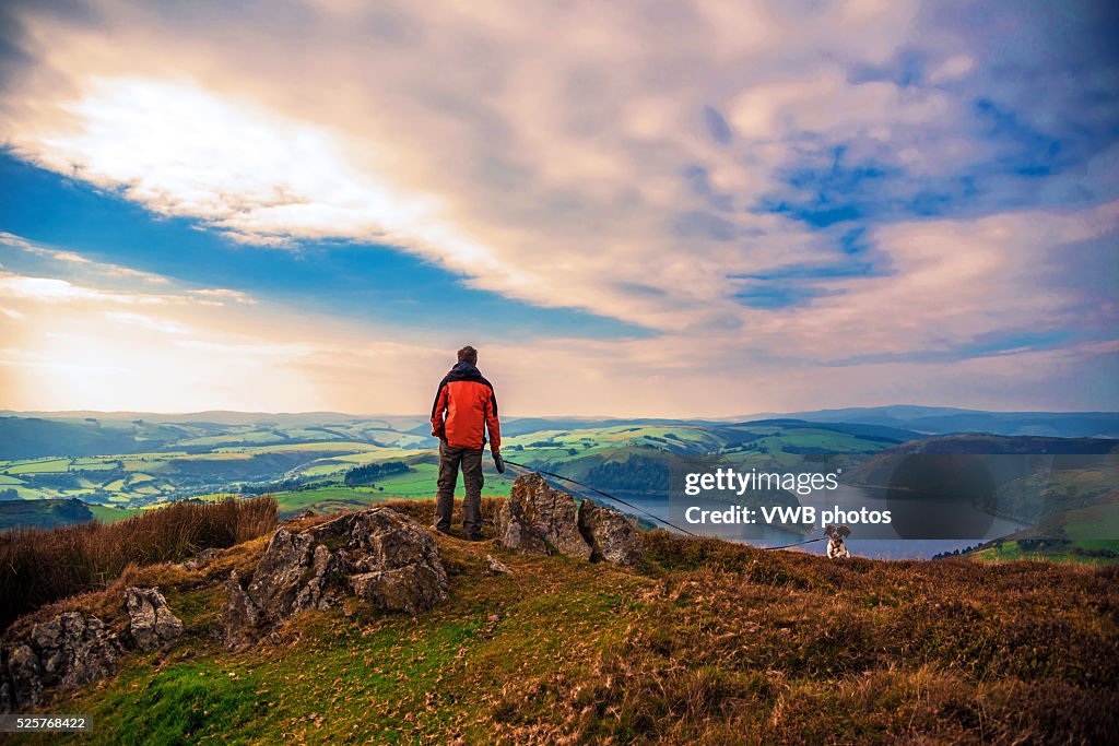 Man and dog and panoramic view of Clywedog Reservoir, Wales