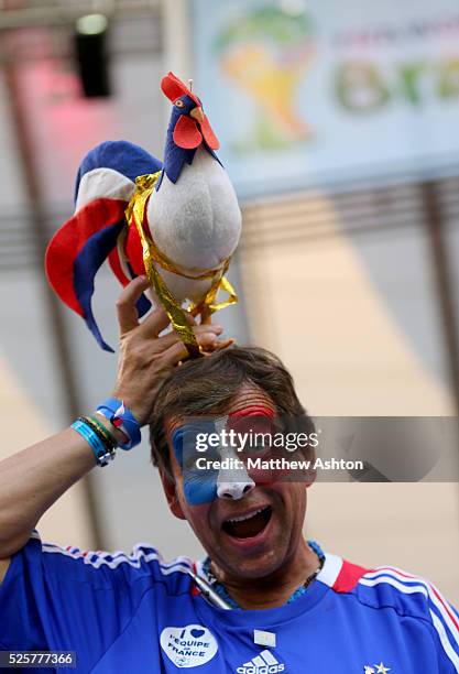 1,109 National Bird Of France Photos and Premium High Res Pictures - Getty Images 1,109 National Bird Of France Photos and Premium High Res Pictures - Getty Images