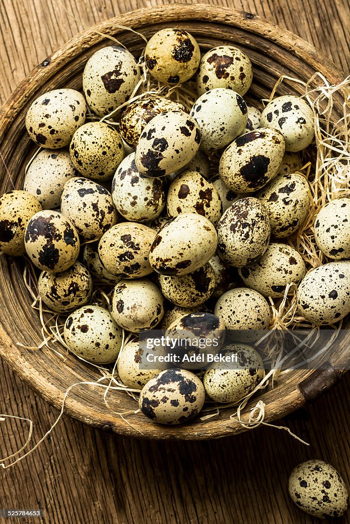 Quail eggs