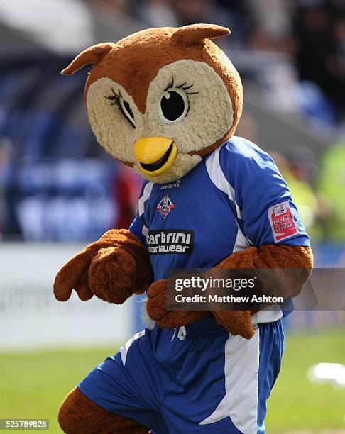 Chaddy Click Chaddy The Owl Photos and Premium High Res Pictures - Getty Images