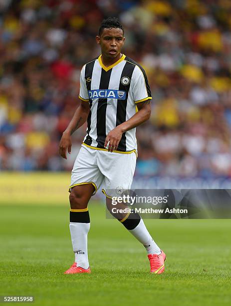 Luis Muriel of Udinese
