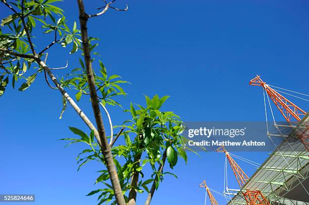 Giraffe structures at The Mbombela Stadium in Nelspruit a venue for the 2010 FIFA World Cup South Africa