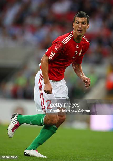 Li Tak Zoltan Liptak Photos and Premium High Res Pictures - Getty Images