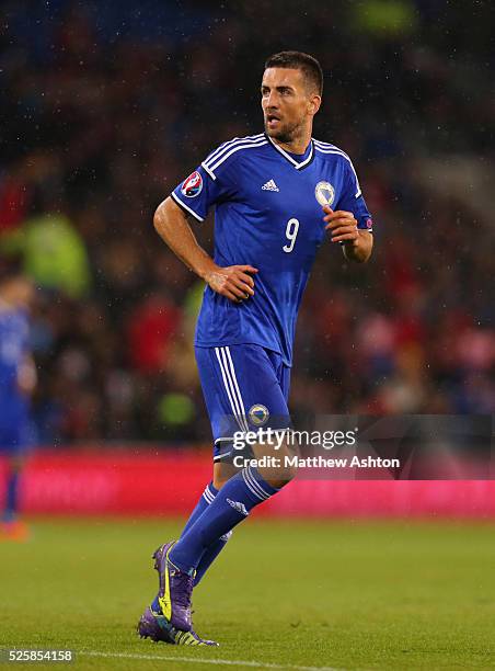 Vedad Ibisevic of Bosnia and Herzegovina