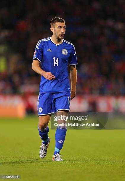 Tino-Sven Susic of Bosnia and Herzegovina