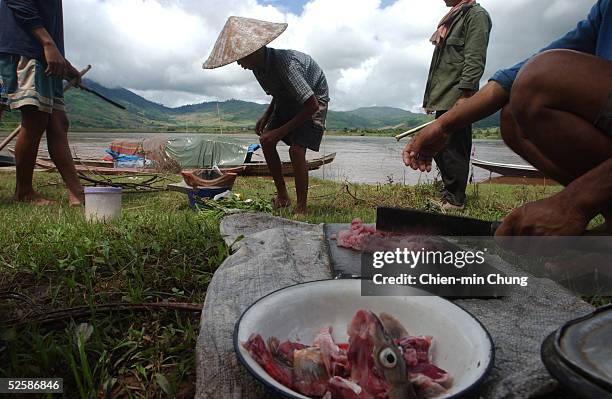 Laotian fishermen cook a catch of fish on the Thai side of the Mekong River bank August 18, 2004 August 18, 2004 in Chiang Khong, Thailand. The...