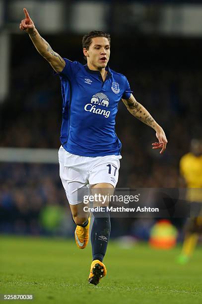 Muhamed Besic of Everton