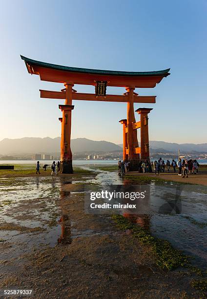 miyajima great torii gate at low tide at sunset, japan - shrine stock pictures, royalty-free photos & images