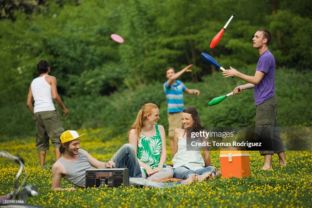 Friends in a Meadow