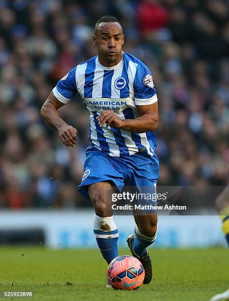 Chris O'Grady of Brighton & Hove Albion