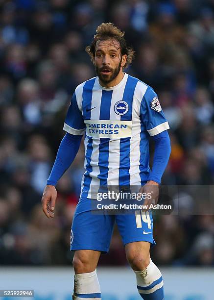 Inigo Calderon of Brighton & Hove Albion