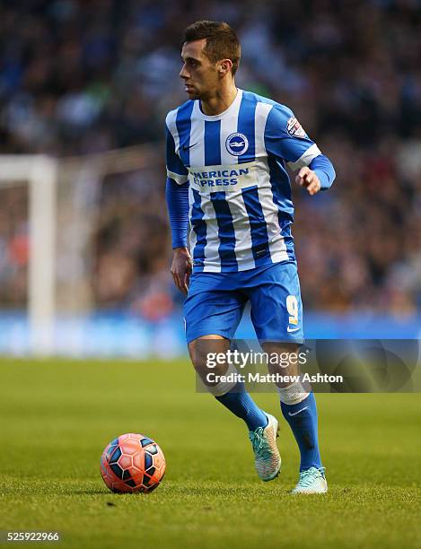 Sam Baldock of Brighton & Hove Albion