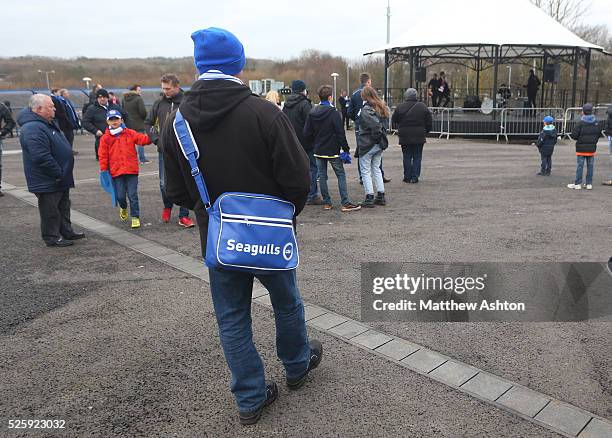 Fan of Brighton & Hove Albion