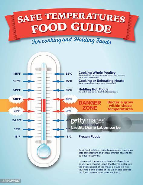 food safety guide infographic - food safety stock illustrations