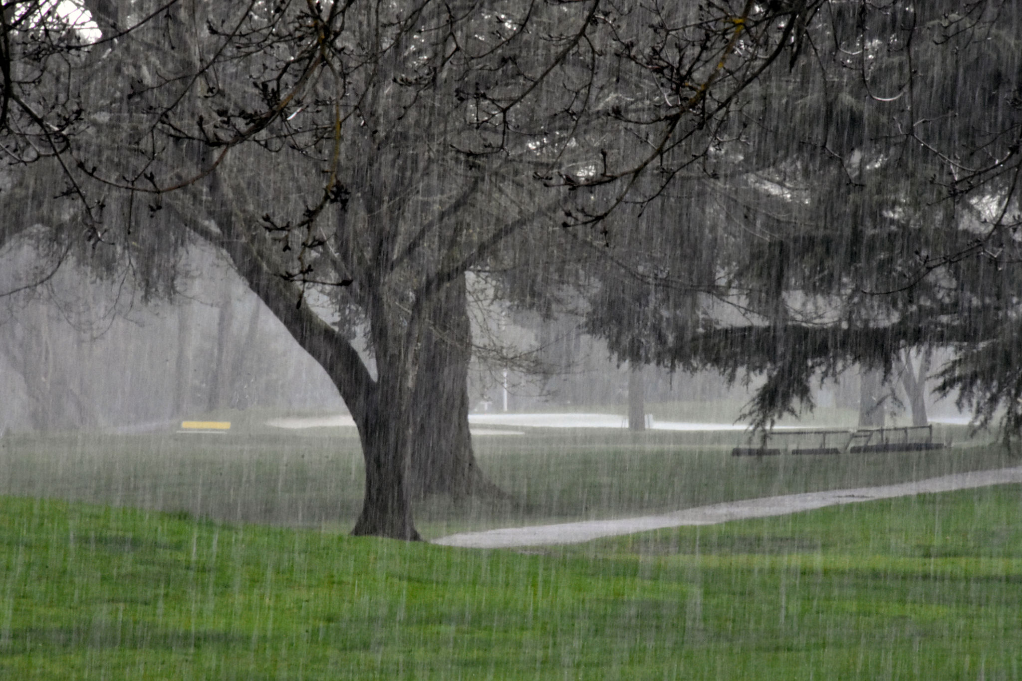rainy golf course