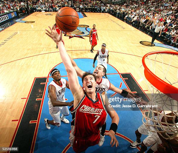 Primoz Brezec of the Charlotte Bobcats rebounds against the Philadelphia 76ers on April 6, 2005 at the Wachovia Center in Philadelphia, Pennsylvania....